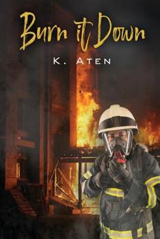 Paperback Burn It Down Book