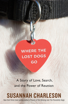 Hardcover Where the Lost Dogs Go: A Story of Love, Search, and the Power of Reunion Book