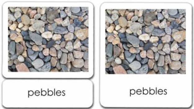 Cards Non-Living 3-Part Reading Cards Book