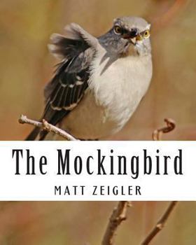 Paperback The Mockingbird Book