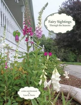 Paperback Fairy Sightings Through the Seasons Book