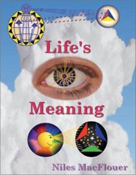 Paperback Life's Hidden Meaning Book