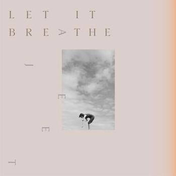 Vinyl Let It Breathe Book