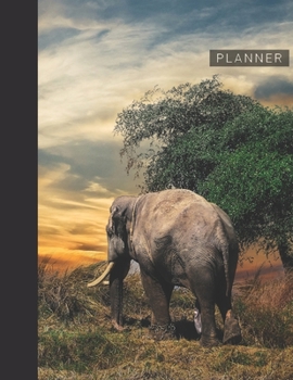 Planner: Elephant 2 Year Weekly Planning Organizer | 2020 - 2021 | January 20 - December 21 | Writing Notebook | Productive Datebook Calendar Schedule | Plan Days, Set Goals & Get Stuff Done