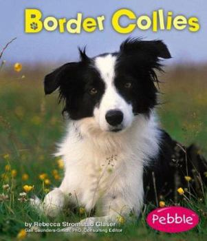 Border Collies (Pebble Books) - Book  of the Dogs Library
