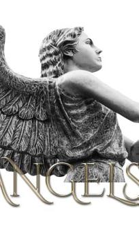 Hardcover Angel Book