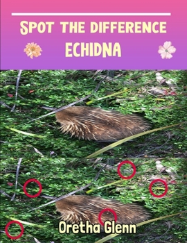Spot the difference Echidna: Picture puzzles for adults Can You Really Find All the Differences?
