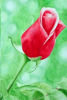 Paperback Red Rose: Journal Book