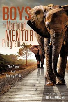 Paperback Boys To Manhood Mentor Program Book