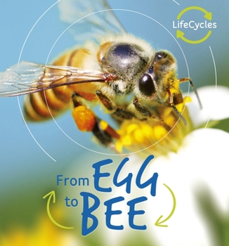 Egg to Bee - Book  of the Lifecycles