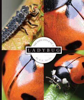 Library Binding The Life Cycle of a Ladybug Book