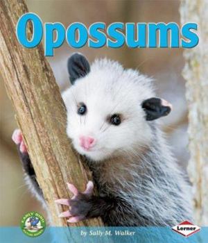 Library Binding Opossums Book