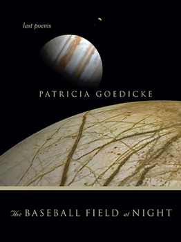 Paperback The Baseball Field at Night Book