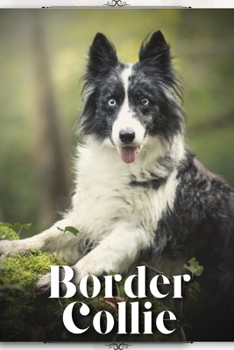 Paperback Border Collie: Dog breed overview and guide Book