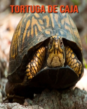 Tortuga de caja: Libro para niños con imágenes hermosas y datos interesantes sobre los Tortuga de caja