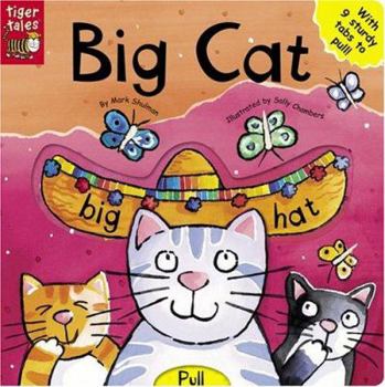 Board book Big Cat Book