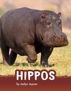 Paperback Hippos Book