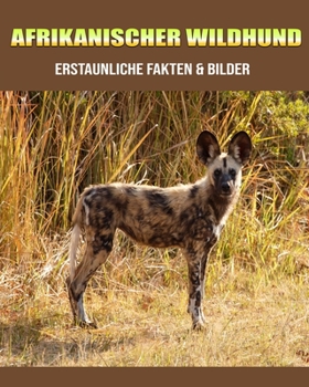 Afrikanischer Wildhund: Erstaunliche Fakten & Bilder