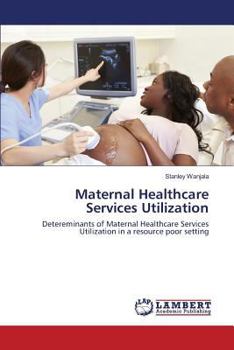 Paperback Maternal Healthcare Services Utilization Book
