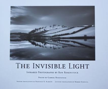 Paperback Invisible Light Book