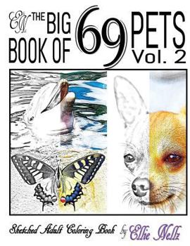 Paperback The Big Book of 69 Pets Book