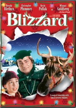 DVD Blizzard Book