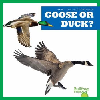 Paperback Goose or Duck? Book