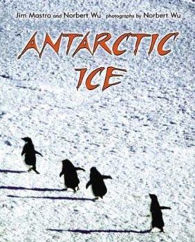 Hardcover Antarctic Ice Book