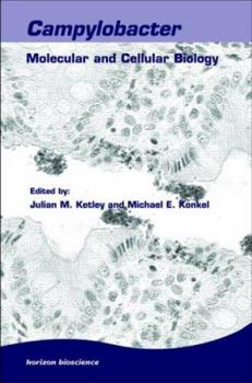 Hardcover Campylobacter: New Perspectives in Molecular and Cellular Biology Book