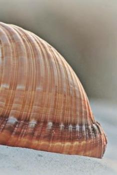 Paperback Shell Notebook Book