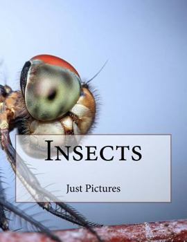 Paperback Insects Book