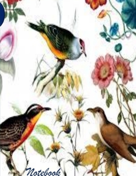 notebook:notebook: notebook:Notebook: Lined Notebook 100 Pages Large (8.5 x 11 inches) Paperback