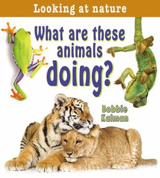 Paperback What Are These Animals Doing? Book