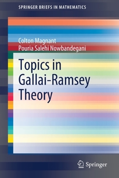 Paperback Topics in Gallai-Ramsey Theory Book
