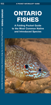 Paperback Ontario Fishes: A Folding Pocket Guide to the Most Common Native and Introduced Species Book