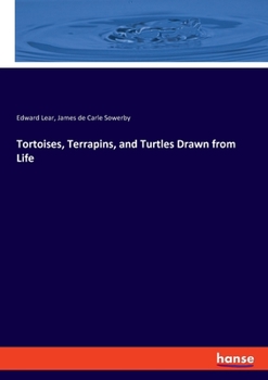 Paperback Tortoises, Terrapins, and Turtles Drawn from Life Book