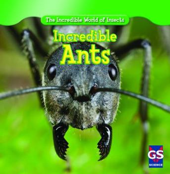 Paperback Incredible Ants Book