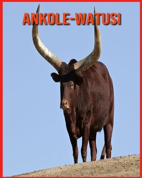 Paperback Ankole-Watusi: Libro per bambini con fatti divertenti e foto incredibili [Italian] Book