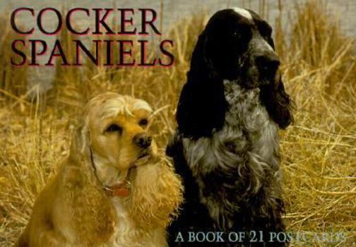 Card Book Cocker Spaniels Postcard Book (For the Love of) Book