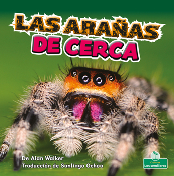 Paperback Las Arañas de Cerca (Spiders Up Close) [Spanish] Book