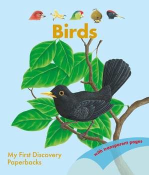 Paperback Birds Book