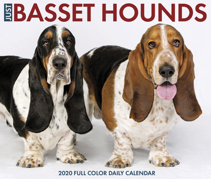 Calendar Just Basset Hounds 2020 Box Calendar (Dog Breed Calendar) Book