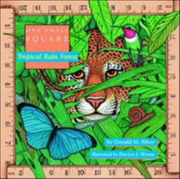 Tropical Rain Forest - Book  of the One Small Square