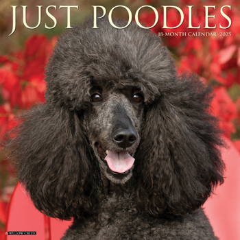 Calendar Just Poodles 2025 12 X 12 Wall Calendar Book