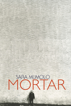 Paperback Mortar Book