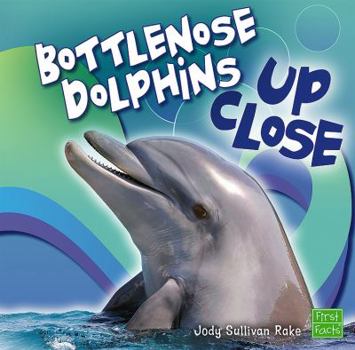 Bottlenose Dolphin Up Close (First Facts)