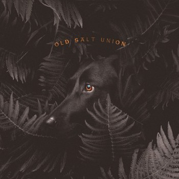 Music - CD Where The Dogs Don't Bite Book
