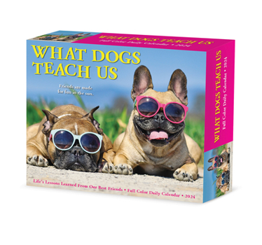 Product Bundle What Dogs Teach Us 2024 6.2 X 5.4 Box Calendar Book