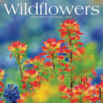 Calendar Wildflowers 2021 Wall Calendar Book