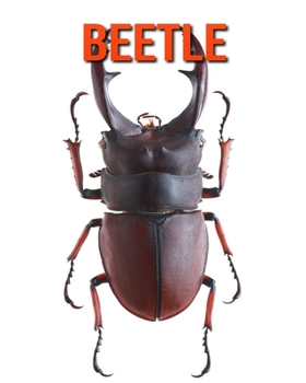 Paperback Beetle: Super Fun Facts And Amazing Pictures Book